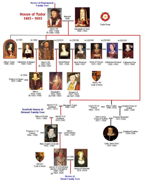 britroyals tudor family tree|henry viii descendants chart.